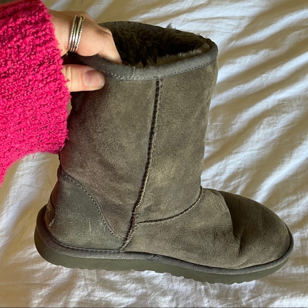 Gray Short Uggs - Picture 4 of 9